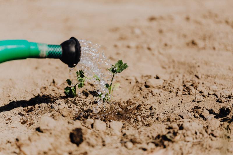 Plombier spécialisé pour installation système d’arrosage dans un jardin à Biganos sur le Bassin d’Arcachon